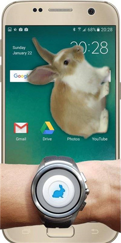 手机的小兔子app 游戏截图