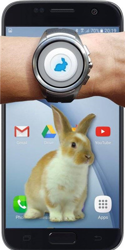 手机的小兔子app 游戏截图